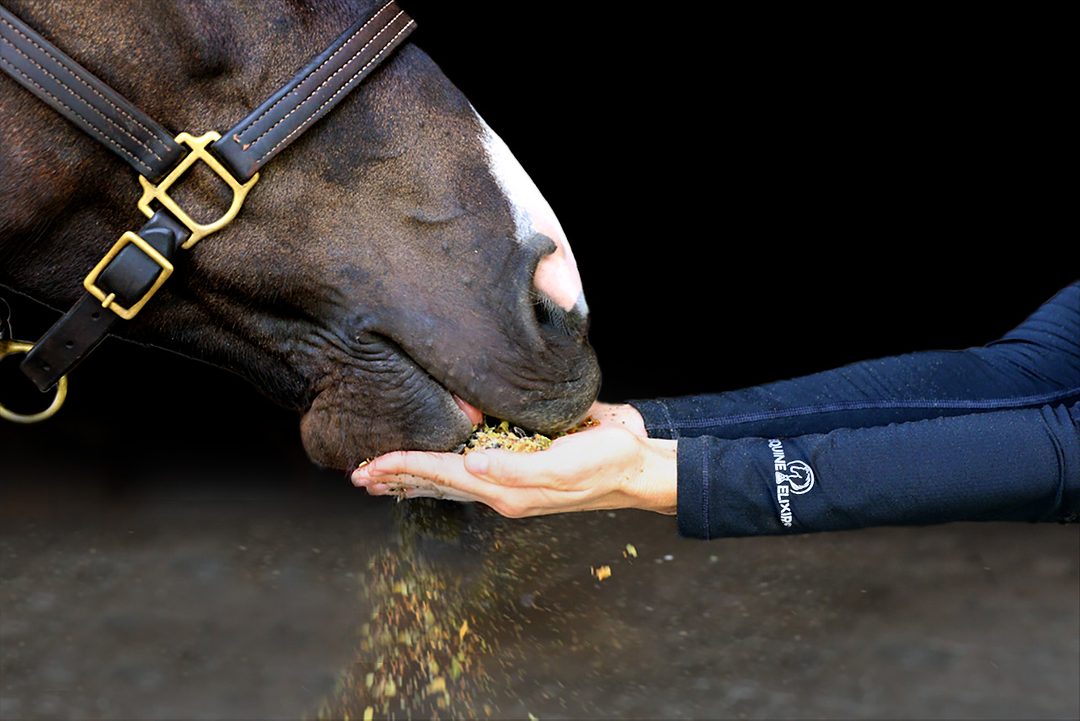 Yeast Extract Powder supplier Yeast Extract Powder supplier