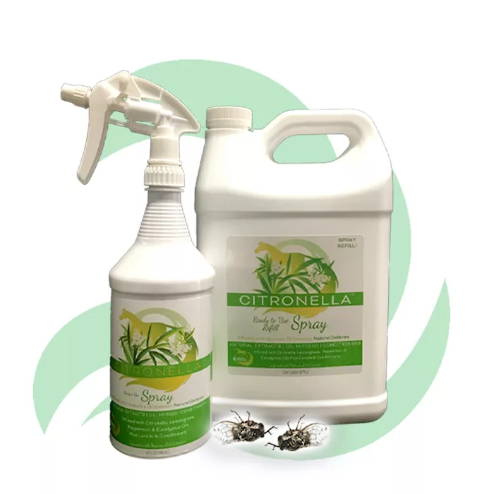 Swirl 2400 x 2400 300dpi Cit Spray.jpg
