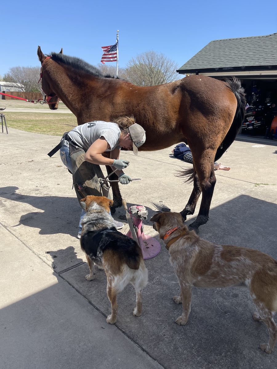 Paige Maxam Farriers Week