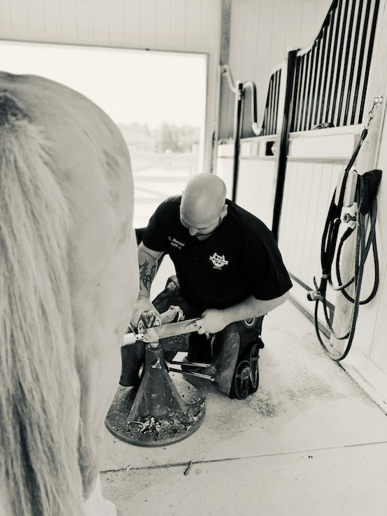 Christopher Metzler Farriers Week