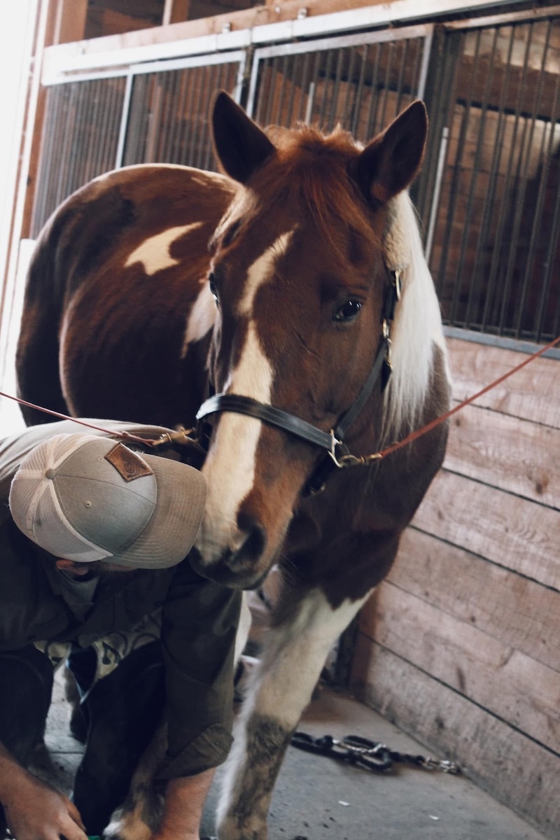 Brendan Paulson Farriers Weeek