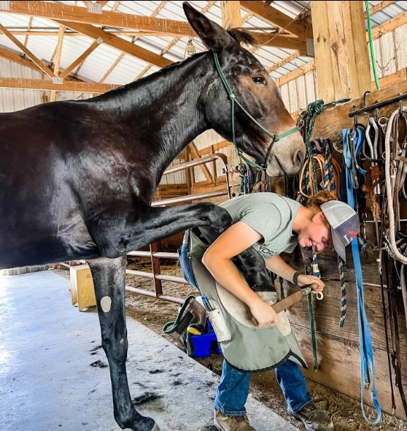 Rory Potter Farriers Week