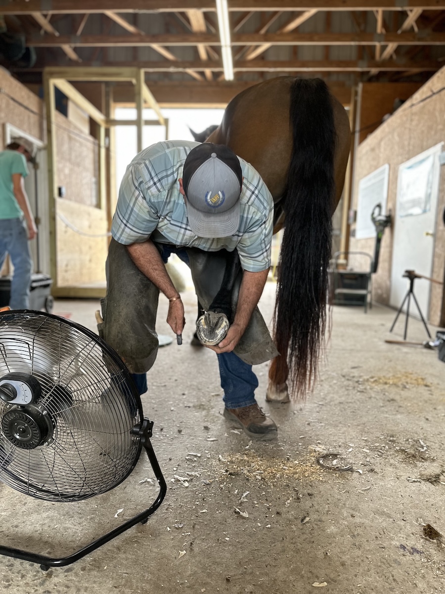 Troy Pride Farriers Week