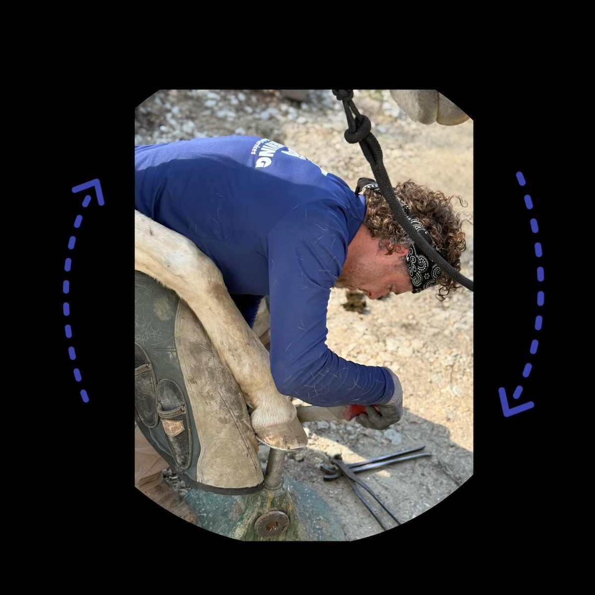 Stephen Struewing Farriers Week
