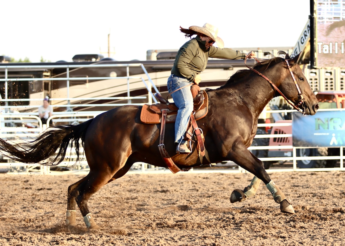 Talli Else Farriers Week
