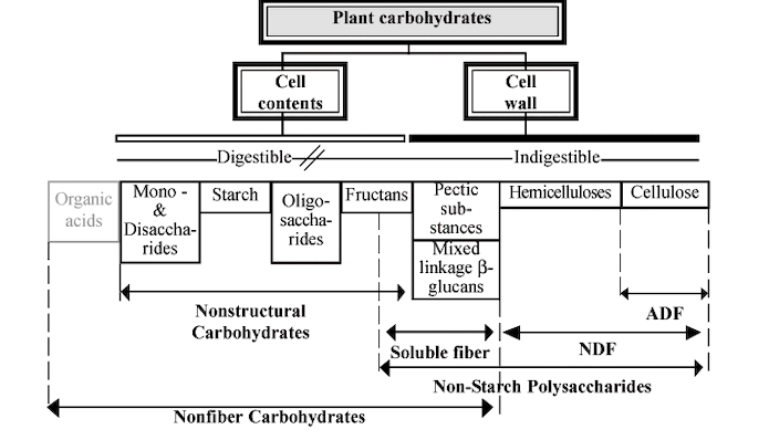 carb-chart.gif