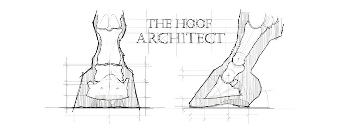 hoof-architect.jpg