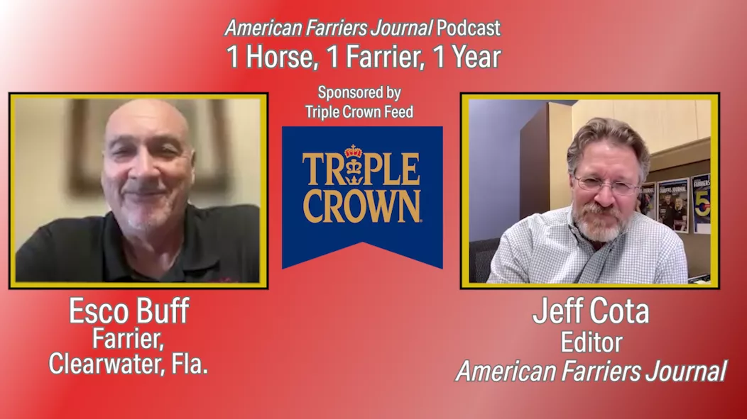 Video-1-Horse-1-Farrier-1-Year.png