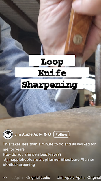 jim-apple-reel-loop-knife-sharpening.png