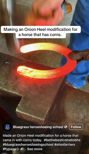 bluegrass-horseshoeing-school-botw.png