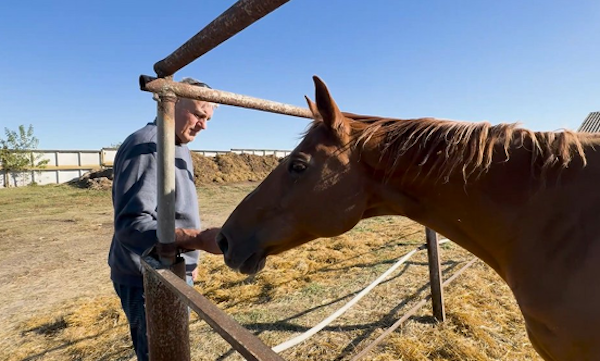 trevor-sutherland-with-a-horse