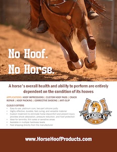 Cloud 9™️ Silicone Hoof Putty