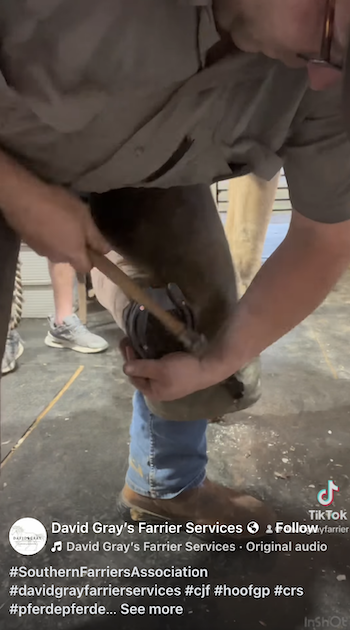 downunder-horsemanship-reel.png