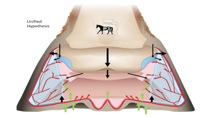 equine-documentalist-digital-cushion.png