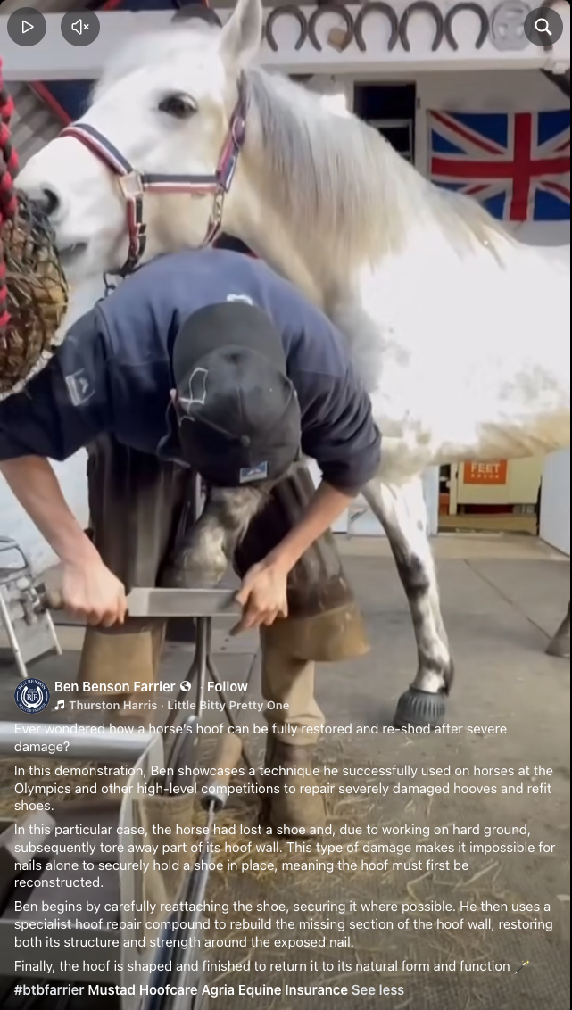 Ben Benson Farrier Shoeing to Missing Hoof Wall