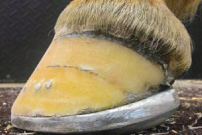 Rocker-Shoes