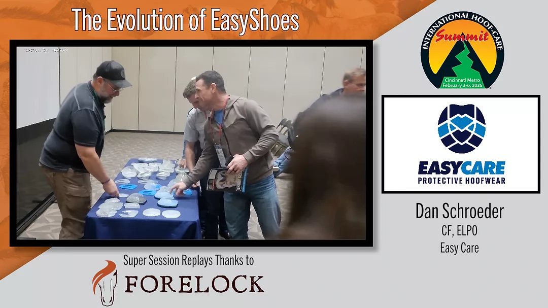 The-Evolution-of-EasyShoes.png