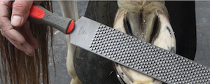 Farrier Files & Rasps by BELLOTA