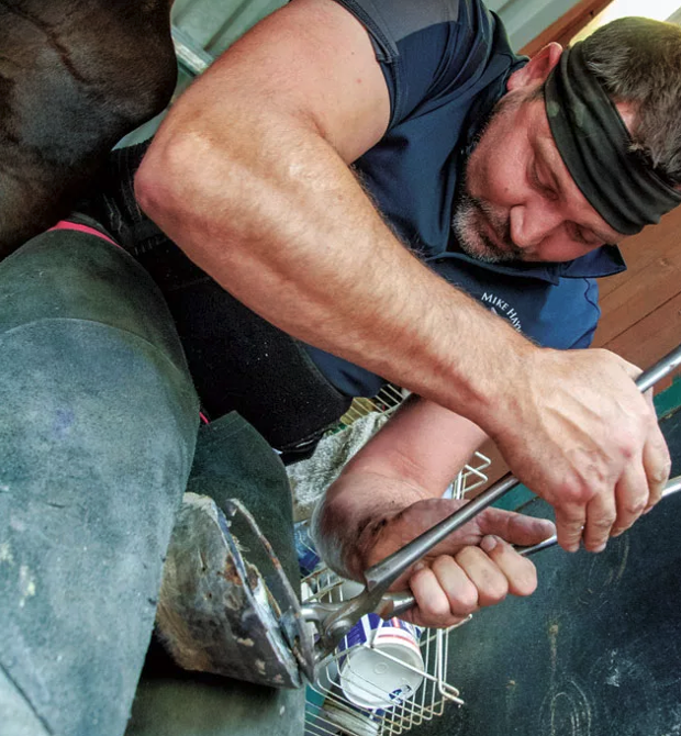 San Fransico Bay farrier Mike Hayward