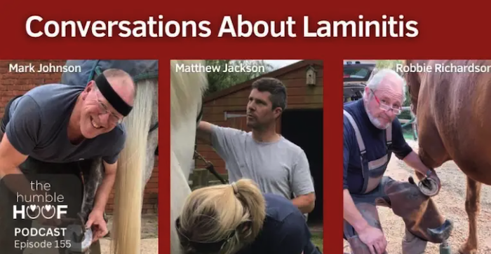 Conversations about Laminitis