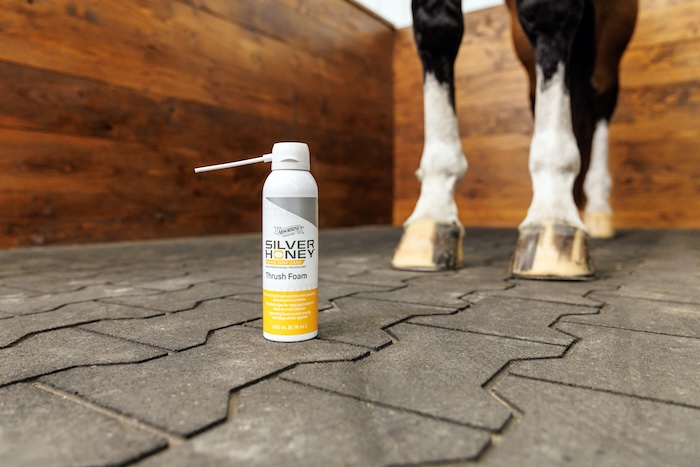 Absorbine Thrush Foam