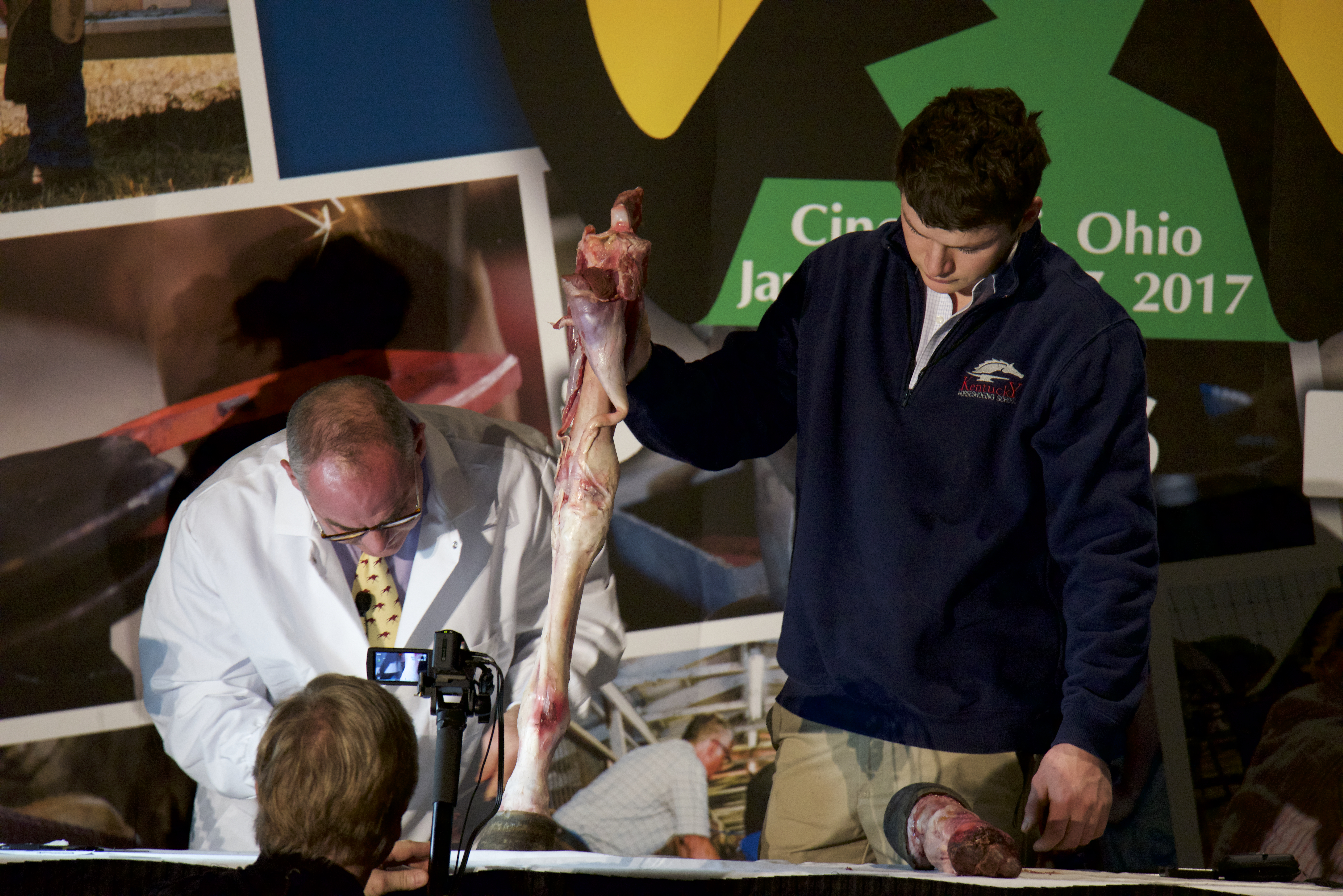Dissection