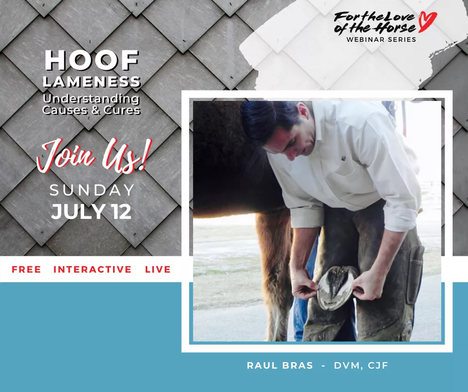 For the Love of the Horse Webinar