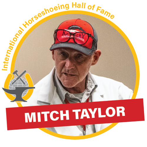 Mitch Taylor