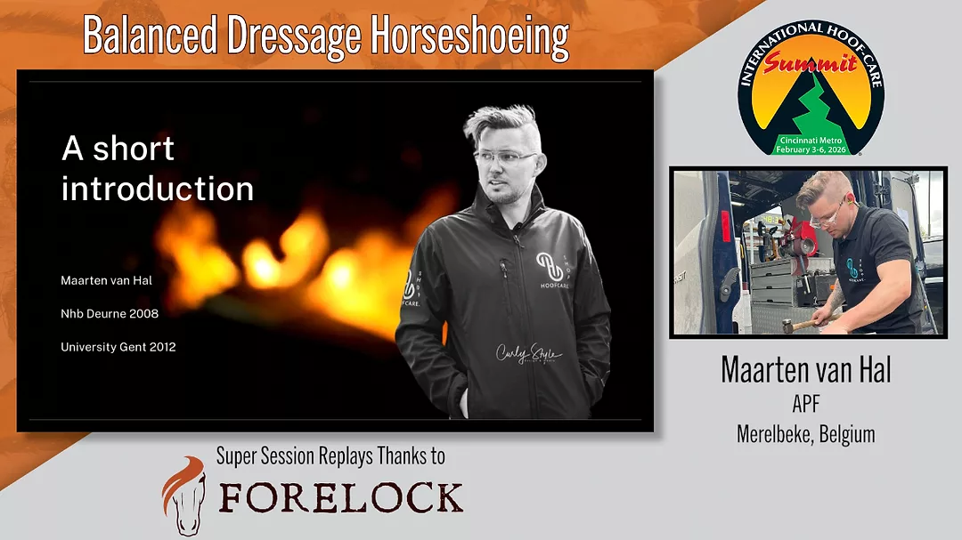 Balanced Dressage Horseshoeing.png