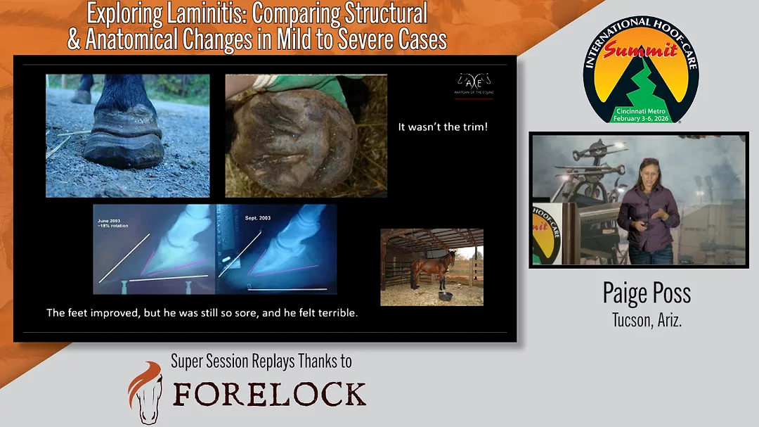Exploring Laminitis-Comparing Structural & Anatomical Changes in Mild to Severe Cases.png