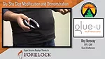 Glu-Shu Clog Modification and Demonstration.png