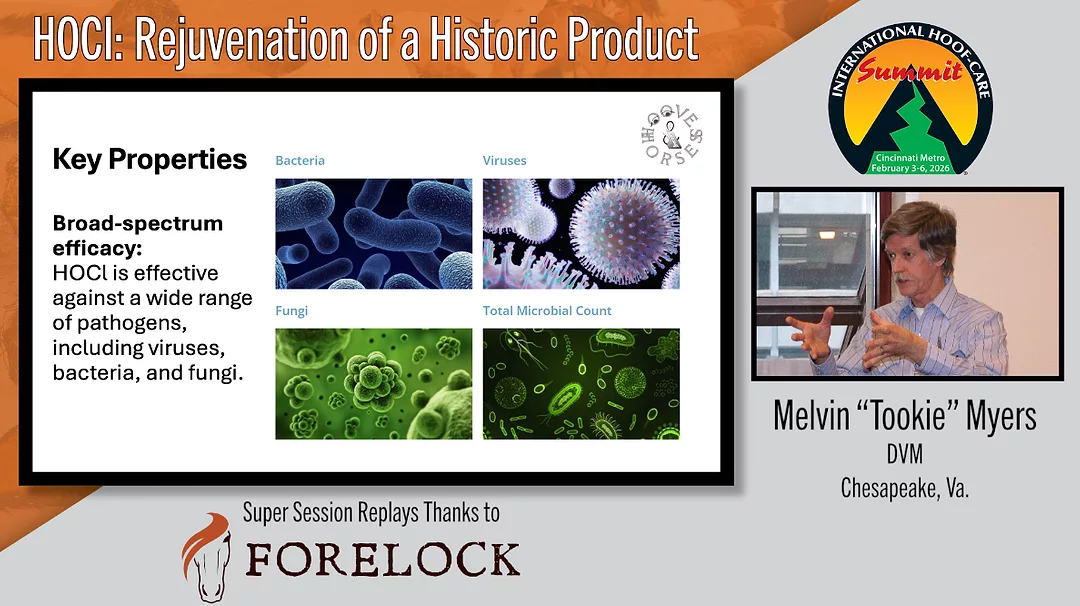 HOCI- Rejuvenation of a Historic Product.png