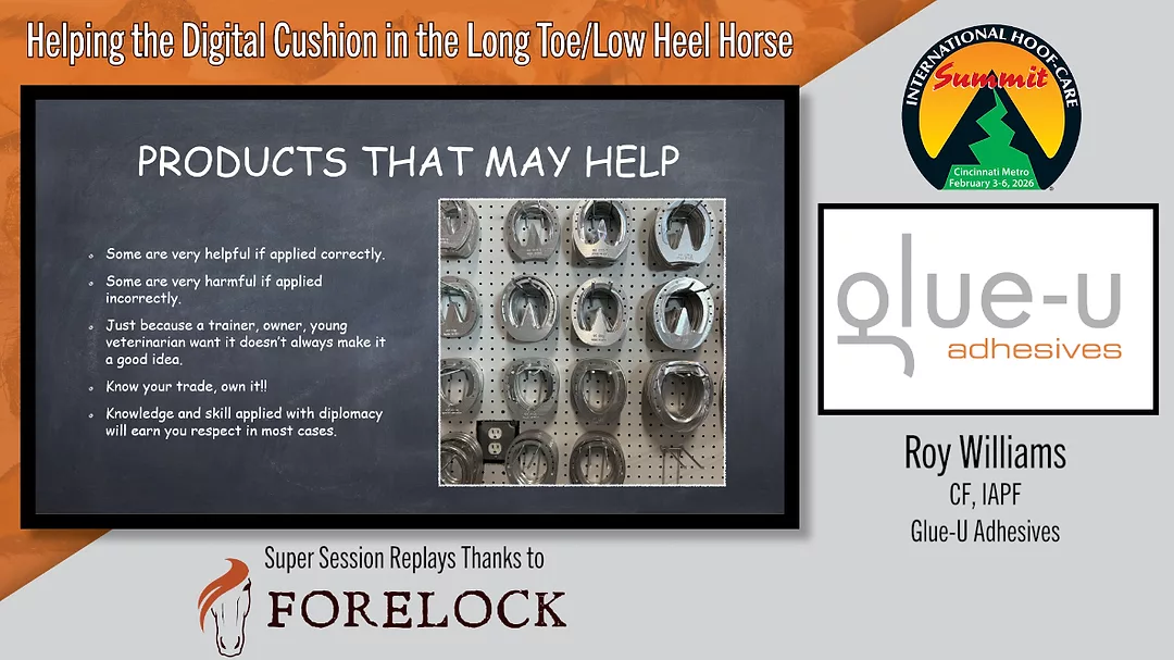 Helping the Digital Cushion in the Long Toe:Low Heel Horse.png