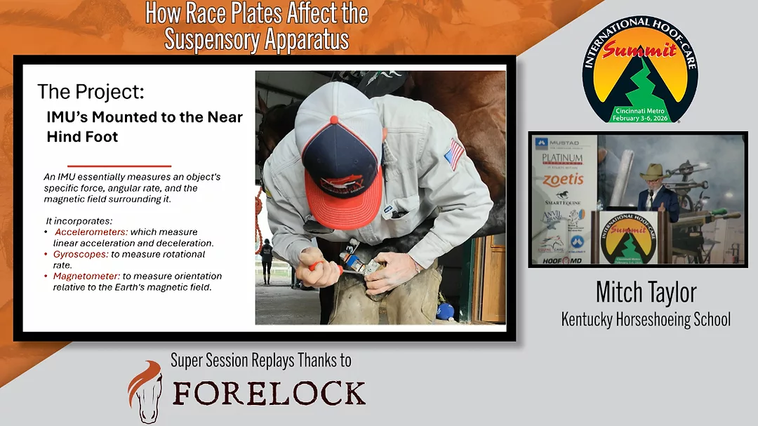 How Race Plates Affect the Suspensory Apparatus.png