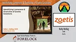 Identifying Lameness & Overview of Zoetis Solutions.png