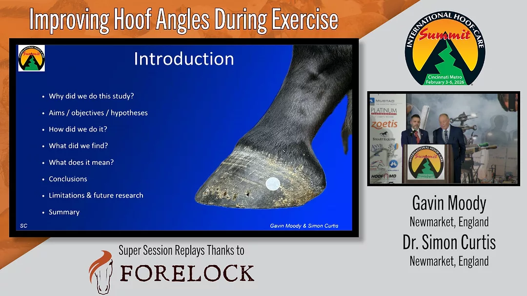 Improving Hoof Angles During Exercise.png