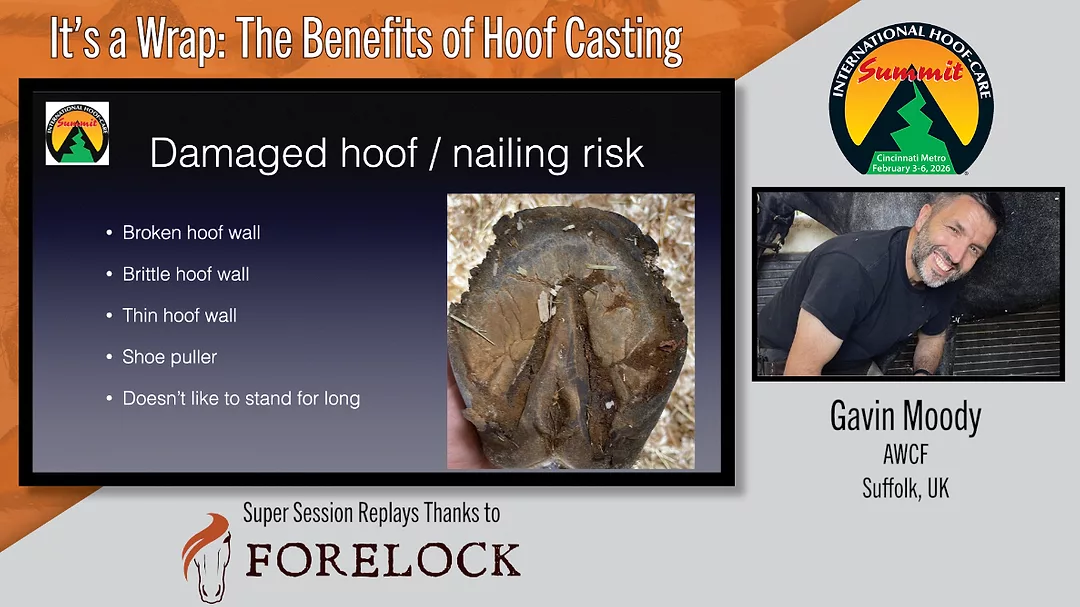 It’s a Wrap- The Benefits of Hoof Casting.png