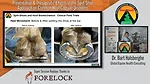 Preventative & Therapeutic Effects of the Split-Shoe Approach on Common Hoof Capsule Disorders.png