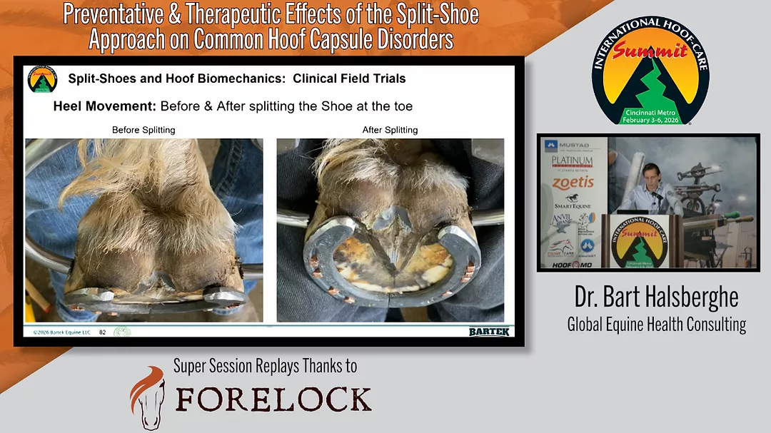 Preventative & Therapeutic Effects of the Split-Shoe Approach on Common Hoof Capsule Disorders.png