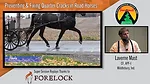 Preventing & Fixing Quarter Cracks in Road Horses.png