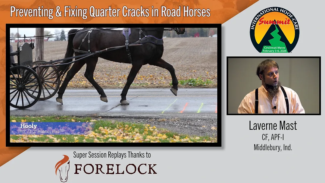 Preventing & Fixing Quarter Cracks in Road Horses.png
