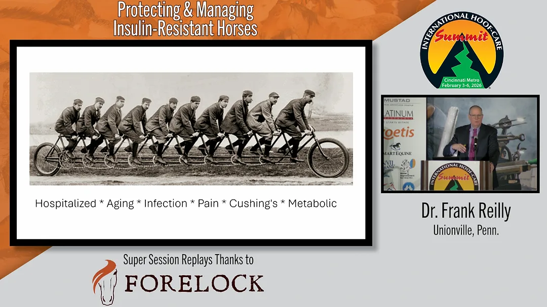 Protecting & Managing Insulin-Resistant Horses.png