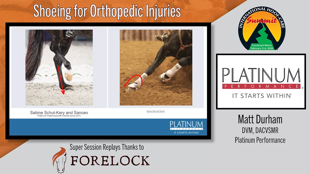 Shoeing for Orthopedic Injuries.png