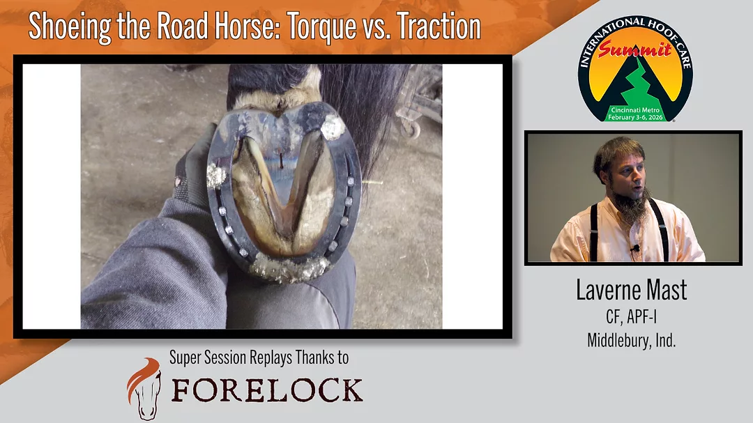 Shoeing the Road Horse- Torque vs. Traction.png