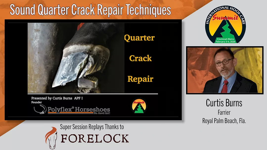 Sound Quarter Crack Repair Techniques.png