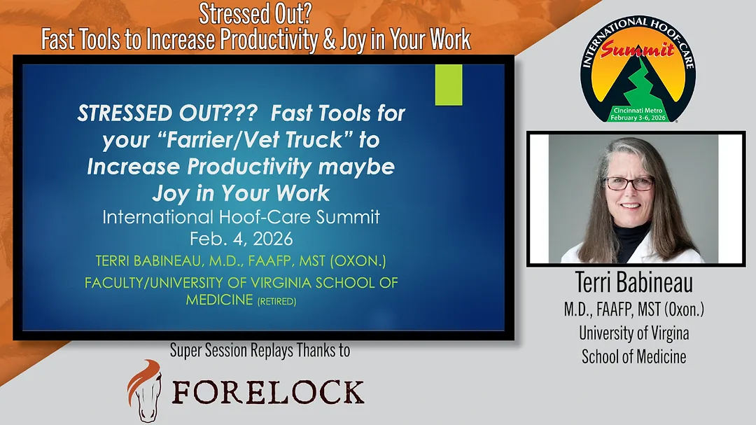 Stressed Out? Fast Tools to Increase Productivity & Joy in Your Work.png