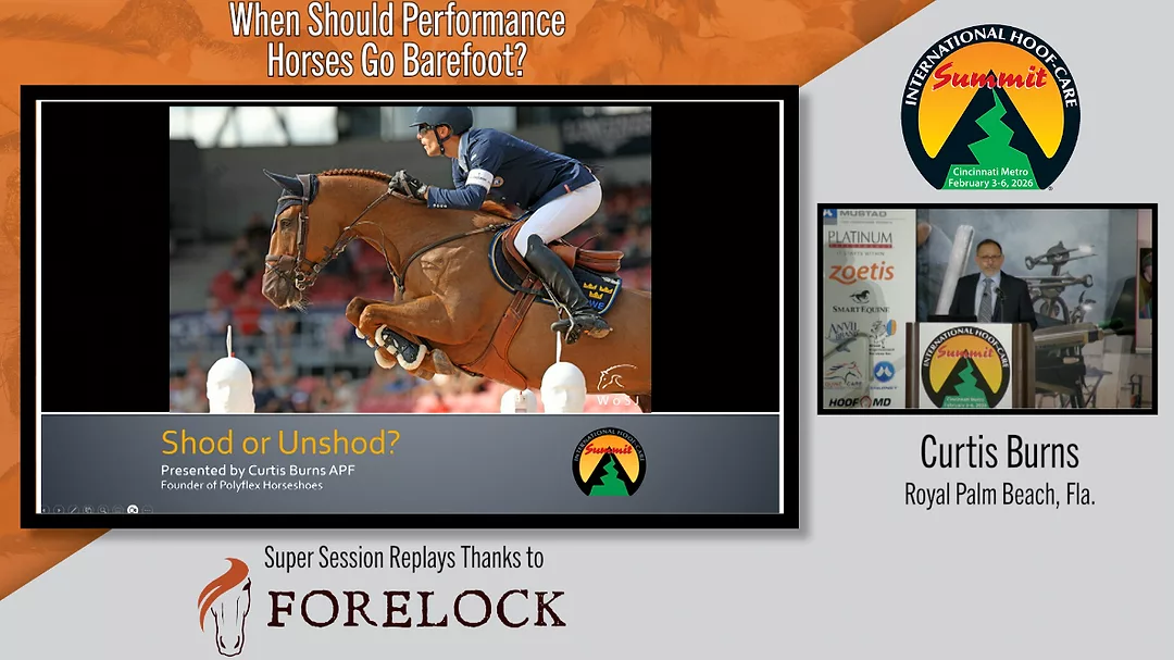 When Should Performance Horses Go Barefoot?.png