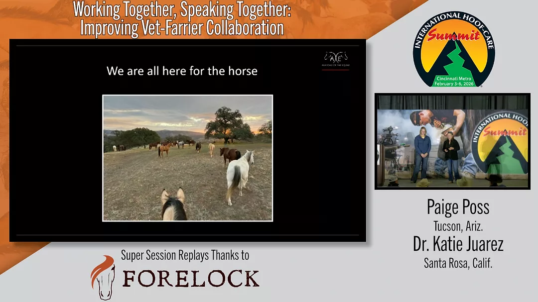 Working Together, Speaking Together-Improving Vet-Farrier Collaboration.png
