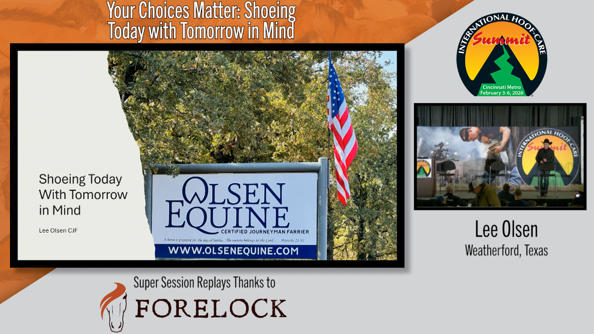 Hoof-Wall-Thickness-in-Equine-Feet--The-Relevance-to-Foot-Function.png