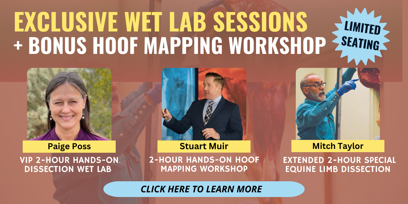 Bonus Sessions